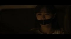 叶丹枫