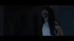 叶丹枫
