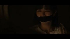 叶丹枫
