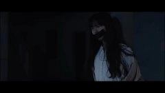 叶丹枫
