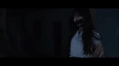 叶丹枫