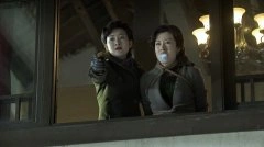 刘敏涛