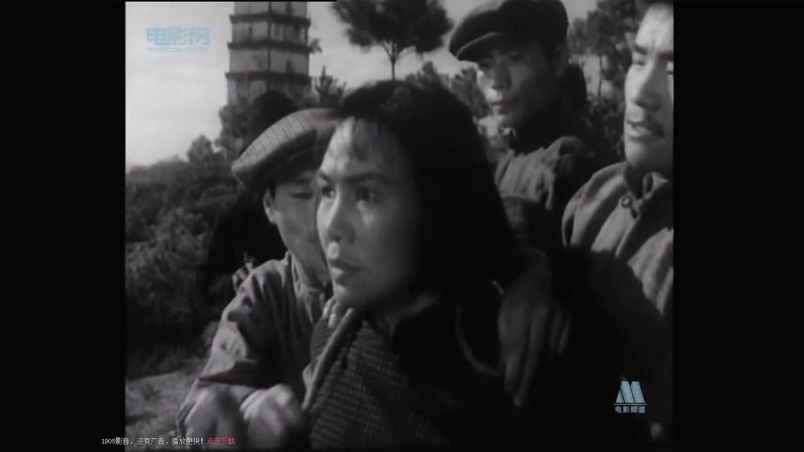 白杨