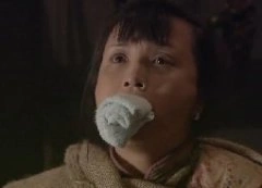 夺粮剿匪记