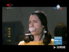 王维琳