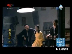 王维琳