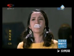 王维琳