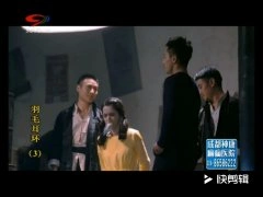 王维琳