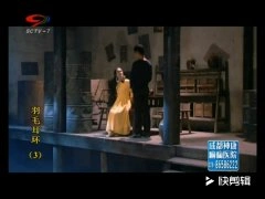 王维琳