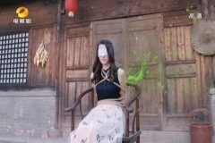 王维琳