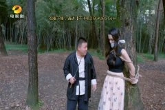 王维琳