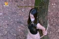 王维琳