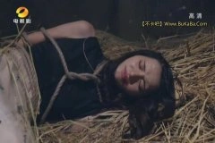 王维琳