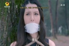 王维琳