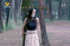 王维琳