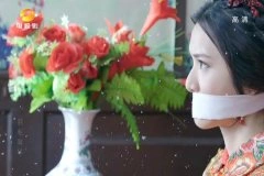 王维琳
