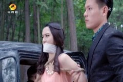 王维琳