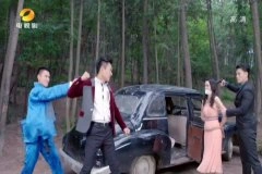 王维琳