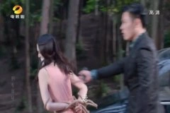 王维琳