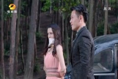 王维琳