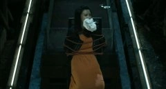 张杨果而