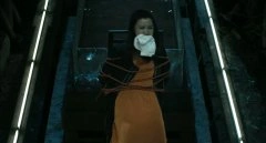 张杨果而