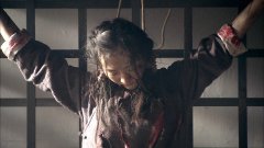 王鸥