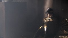 金晨