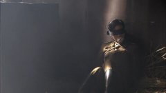 金晨