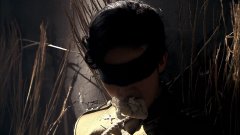 金晨