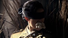 金晨