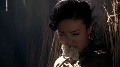 金晨