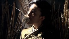 金晨