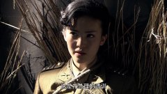 金晨