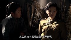 金晨