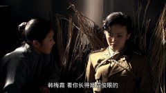 金晨
