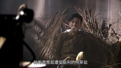 金晨