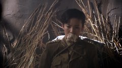 金晨