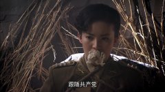 金晨