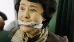 刘洁*