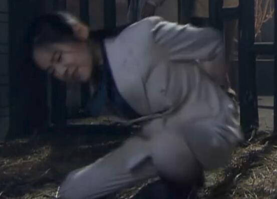 南侨机工英雄传