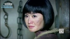 杨斯*
