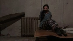 高丽雯