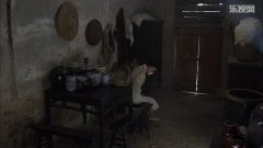 袁菲
