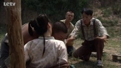 袁菲