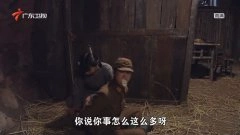 张丽