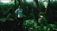 张雷
