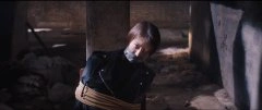 金晨