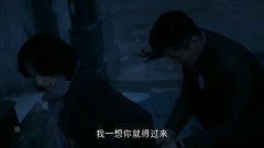 佟丽娅