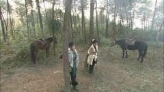 陈紫函